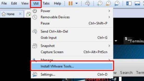kali vm install vmware tools